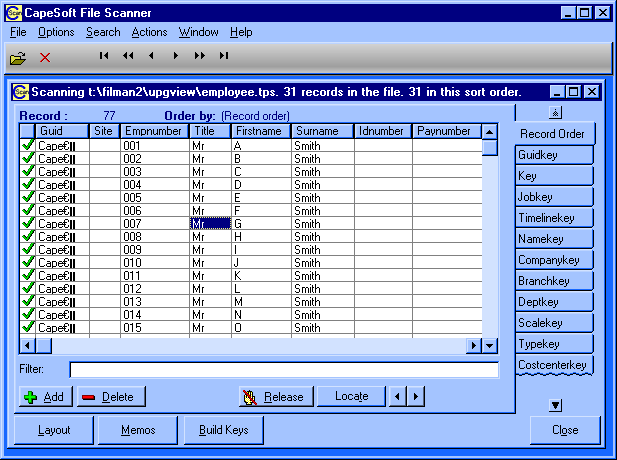 CapeSoft file scanner screenshot