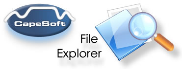 File Explorer header - linked to CapeSoft home page
